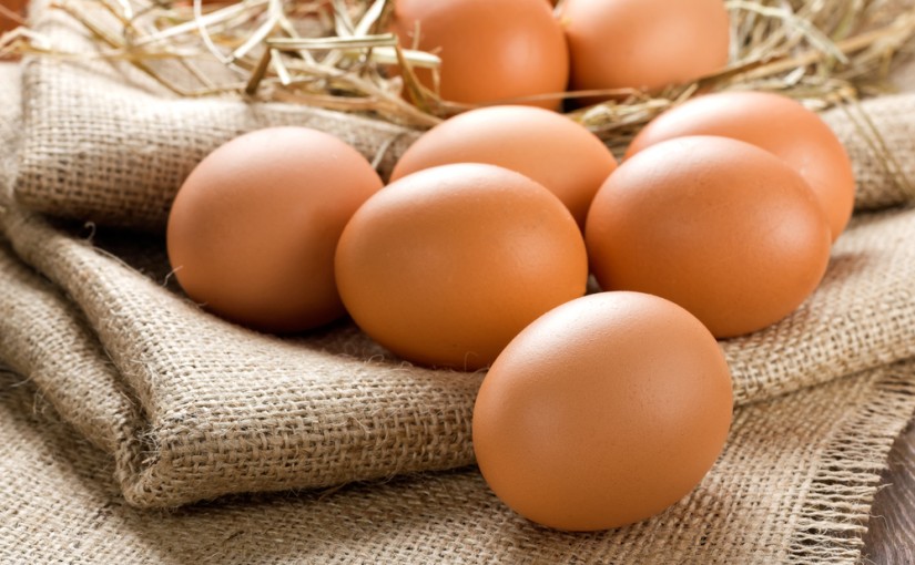 The Benefits of Egg Protein Powder